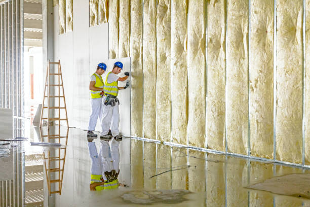 Best Commercial Insulation in Merced, CA